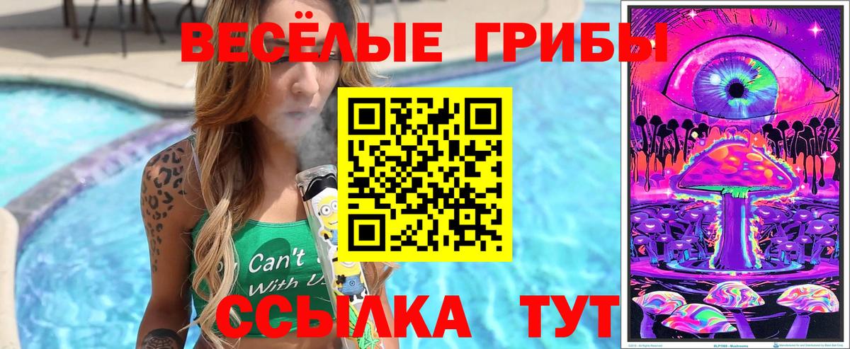 Ивантеевка  Галлюциногенные грибы мухоморы  Вход с VPN 